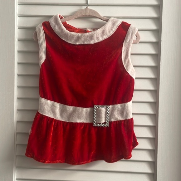 pet holiday Other - Pet Holiday 2008 Mrs. Clause Dress Like New - Size Large for Small/Medium Breeds